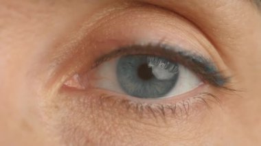Kadın yüzü, gri gözler ve görüş odaklanması, görme ve farkındalık. Kapalı portre yüz makrosu, optometri testi ve insan anatomisi algısı. İnsan görüşü, göz bebeği ve göz bebeği, kan damarları.