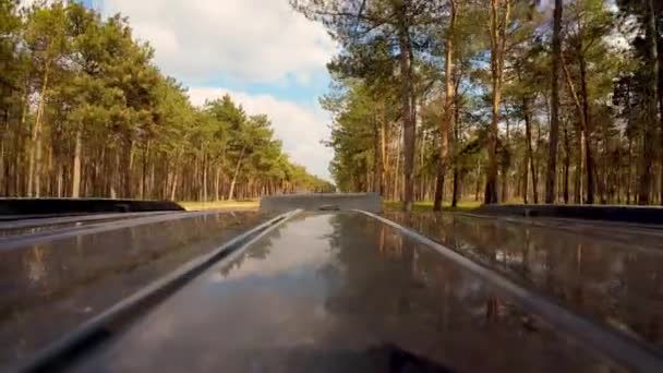 Coche Con Contenedor Remolque Conduciendo Través Carretera Forestal Camioneta Carga — Vídeos de Stock