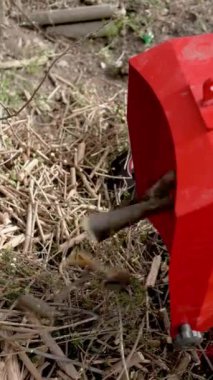 Ağaç Parçalama Makinesi budama kalıntıları. Parçalanmış ağaç dalları yığının üstüne düşer. Dikey oryantasyon. Ahşap parçalarından gübre hazırlama. Çevre koruma için organik gübre ve