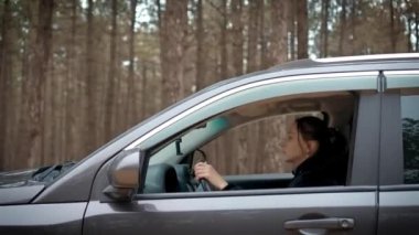 Araba talimi yapan bir kadın, ıssız orman patikalarında trafiği olmayan, kendi başına araba kullanma becerilerini bilen bir kadın. Kadın araba kullanmayı ve yalnız seyahat etmeyi öğreniyor. Dışarıdan ateş ediyorlar.