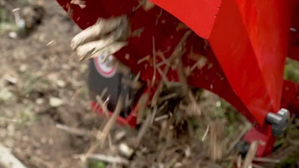 Unrecognizable Person Feeding Hopper Garden Shredder Foliage Wood Chipper Machine — Stock Video