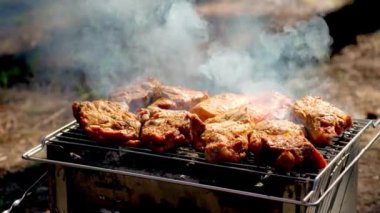 Barbekü ızgarasında ızgara şiş kebap. Sulu et kebabını dumanlı şişte hazırlıyorum. Sıcak, sulu ızgara et parçaları.