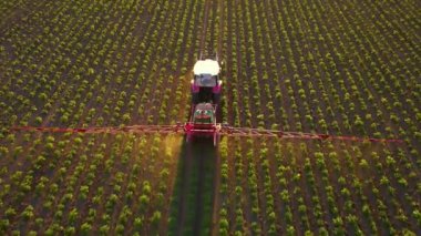 Traktör toprak püskürtüyor ve genç ekinler ilkbaharda havadan görünüyor. Püskürtücüyle tarlada böcek ilacı sıkmak. Bereketli topraklarda çevre dostu ürünler yetiştiriyor.