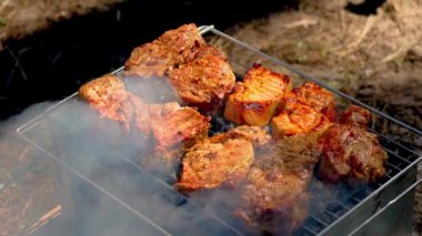 Izgarada Et Pişirme. Çeşitli et kesimleri, biftekler ve ızgarada cızırdayan tavuklar. Tatiller ve aktif dinlenme kavramı