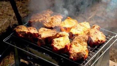 Sıcak kömürlerin üzerinde ızgara baharatlarla marine edilmiş dumanlı sulu et parçaları. Tatiller ve aktif dinlenme kavramı