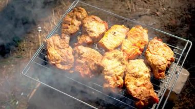 Dışarıdaki ızgarada tavuk pişirme. Açık ateşte pişmiş et. Duman havaya yükseliyor. Tatiller ve aktif dinlenme kavramı