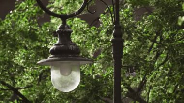 Yağmurdan sonra sakin bir akşamda Lush Green Park 'ı aydınlatan klasik sokak lambası. Kaliteli sokak lambası, huzurlu parktaki yemyeşil ağaçların arasında usulca parlıyor, ardından sakin bir ortam yakalıyor.