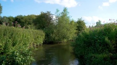 Güneşli Gökyüzü Altındaki Bereketli Yeşilliğin İçinden Sükunet Nehrinin Akışı Kırsalda Ağaçlar ve Yabani Çiçeklerle çevrili. Huzurlu nehir, ağaçlarla çevrili, parlak gökyüzünün altında canlı yaprakların arasından akar.