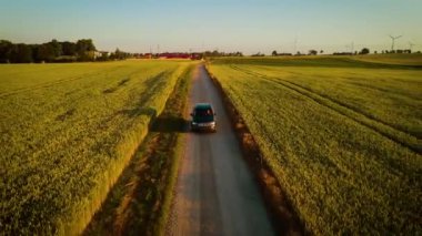 Gün batımında yemyeşil buğday tarlalarıyla çevrili toprak yolda SUV kullanan bir kadın. Kadın, araba yol boyunca ilerlerken sakin kırsal manzaranın tadını çıkarıyor. Kadın otomatikman kırsalda geziniyor.