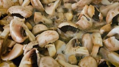 Lezzetli Yemek Hazırlamak için Bulaşık Yağı ile Orta Sıcakta Dilimlenmiş Mantar Pişiriyorum. Kızartma tavasında şampiyonlar yakın çekim yapıyor. Lezzetli, sağlıklı vegan ya da vejetaryen yemekleri pişirmek