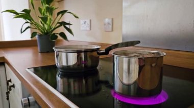 Gündüz saatlerinde, Parlak Mutfak 'ta, Modern Enerji Verimli Elektrikli Fırın ve Kaynar Tencereyle Yemek Pişiriyorum. Mutfaktaki modern elektrikli ocakta besleyici ev yemekleri hazırlamak.