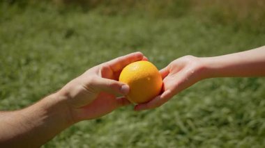 Baba turuncuyu açık havada kızına uzatıyor. Babam olgun ve parlak narenciye meyvesi veriyor. Gün ışığında taze ve sulu portakal alan çocuk