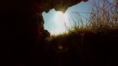 Parlak güneş ışığıyla aydınlanan alana bakıyorum. Dar bir delikten sürünerek geçen ve dışarıda parlayan bir hayvan. Tünelden çıkıyor ve çimlerin üzerinden süzülen güneş ışığını görüyor. Göz gezdiriliyor