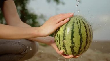Su üzerine sıçrarken elinde taze karpuz tutan bir kadın. Olgun yeşil karpuzu akan suyun altında durulayan dişi. Nehrin altında büyük çizgili karpuz yıkayan kadın.
