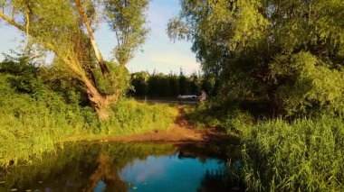 Göl kenarındaki adama vücut masajı. Masaj spa tedavi konsepti hava görüntüsü. Kadın terapist dışarıda erkek müşteriye sırt masajı yapıyor. Ağaçların altında doğaya masaj yap.