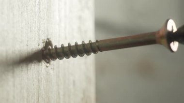 Kapalı sarı kendine dokunan vida duvar yüzeyine vida. Macro view donanım pervanesi inşaatta sıva tahtasına dönüşüyor. Onarım sırasında uzun vida alçıpan çalışıyor