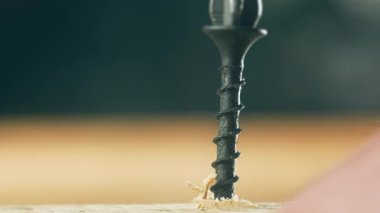 Kapalı çekim siyah kendini becerme vida insan tarafından ahşap vidalama. Makro görüntü donanım sabitleyicisi tamirci tarafından yüzeye çıkarılıyor. İnşaat sırasında inşaat ile tahtaya çalışan keskin vida
