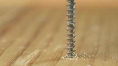 Yakın plan paslı kendini becerme vidaları insan eliyle tahtaya vidalanır. Macro view metal kapatıcısı tamirci tarafından herhangi bir alet olmadan elle bükülüyor. Eski vida inşaatçı kullanarak yüzeye çalışıyor