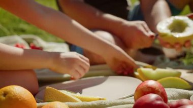 Baba ve kızı pikniğin keyfini çıkarıyor, çocuk tabakta meyve dilimlerine uzanıyor. Baba taze kavun hazırlarken kız da parçaları düzenlemeye yardım ediyor. Eller açık hava aile yemeği sırasında meyve servis etmek için birlikte çalışırlar.
