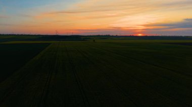 Geniş tarlalarda parlayan günbatımı çiçek açan kolza tohumu ile. Tarım arazisinin üstündeki gökyüzü boyama ufku. Kanola tarlalarında alacakaranlık ışığı parlıyor. Altın saat, ılık tonlarla aydınlatan çiçek tarlası.