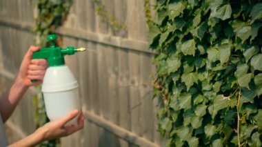 Genç bir çocuk bahçe çitlerine böcek ilacı ve ot ilacı kullanarak el yapımı spreyle sarmaşık sıkıyor. Genç erkek pompa şişesiyle bitkilere kimyasal sis uyguluyor. Yeşil sarmaşık yapraklarını ilaçla temizleyen adam.