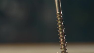 Sarı çinko tezgahı vidalayan yakın çekim tornavida ısırığı kendini tahta yüzeye batıran vida. İnşaat sırasında parlak pervazları sıkılaştıran donanım aleti. Metal parçası tamir sürecinde çalışıyor