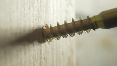 Sarı çinko tezgahı vidalarken yakın çekim tornavida ısırdı kendini kontrplak yüzeyine vidaladı. Hırdavat aletleri tamir sırasında daha hızlı sürüyorlar. İnşaat projesinde çalışan metal parçası