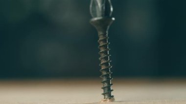 Kapalı çekim siyah kendini becerme vidaları insan tarafından yüzeye vidalama. Macro view metal kapatıcısı, ahşap kaplamalı. İnşaat sırasında inşaatçıyla çalışan koyu renkli vida