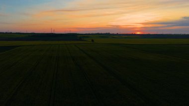 Gün batımı tarla tarlalarının üzerinde çiçek açan kolza tohumlarıyla parlıyor. Ekilmiş toprağın üzerinde akşam ışığı gökyüzünü boyuyor. Çiçekli kanola ufkunun ardında güneş batıyor. Uçsuz bucaksız sarı alana yayılan ılık bir parıltı.