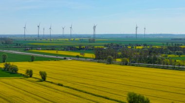 Rüzgâr türbinlerinin yakınında açık gökyüzünün altında kanola tarlaları çiçek açıyor. Sarı kolza tohumu dönen yel değirmenleriyle tarlalara yayılıyor. Çiçekli yağ tohumu yenilenebilir enerji kuleleriyle kaplıdır. Parlak mahsul, uzun rüzgarın yanında gün ışığında parlıyor.