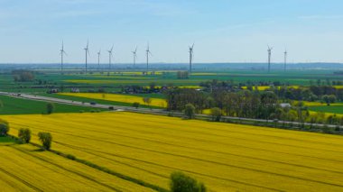 Kanola alanı rüzgar türbinleriyle parlak bir şekilde çiçek açıyor. Sarı kolza tohumu kırsal bölgelere yayılmış, arkasında dönen bıçaklarla. Yenilenebilir enerji kulelerinin yakınında mavi gökyüzünün altında parlayan yağ tohumu hasadı. Çiçekli tarlalar yel değirmenleriyle açılıyor.