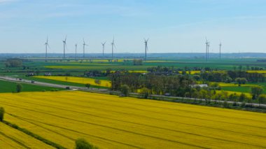 Çiçekli kanola alanı uzak rüzgar türbinlerine doğru uzanıyor. Açık mavi gökyüzünün altında dönen bıçaklarla parlayan sarı kolza tohumu. Yağ tohumu tomurcukları kırsal bölgeleri kaplıyor ve arkasında rüzgar enerjisi kuleleri var. Çiçekli tarlalar yenilenebilir enerjiye yakın genişliyor.