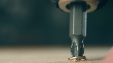 Kapalı sarı kendine dokunan vida tahtadan insan tarafından sökülüyor. Macro Manzaralı hırdavatçı, tamirci tarafından ahşaptan çıkarılıyor. İnşaat sırasında inşaatçıyla çalışan metal vida.