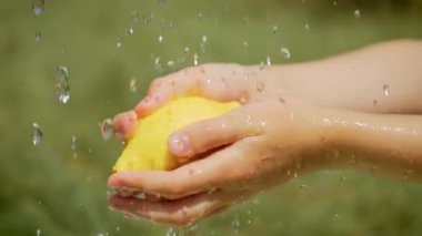 Akan suyun altında limon yıkayan bir kız. Çocuğun elinde parlak ve sulu narenciye meyvesi var. Çocuk açık havada olgun ve sarı limon temizliyor.