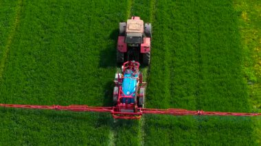 Haşere ilacı püskürtücü traktörü yetiştirme mevsiminde yeşil ekin tarlasında çalışıyor. Tarım aracı buğday sıraları boyunca koruyucu kimyasalları monte edilmiş sprey kullanarak uyguluyor. Tarımsal makineler tarım arazilerini tarım ilaçlarıyla dümdüz çizgilerde tedavi ediyor.