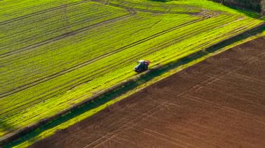 Yeşil alan boyunca traktör sürüyor. Çiftçilik aracı ekili arazide ilerliyor. Toprağın yanında sürüp ekin yetiştiriyorlar. Tarım işi sırasında tarım arazisinde seyahat eden traktör
