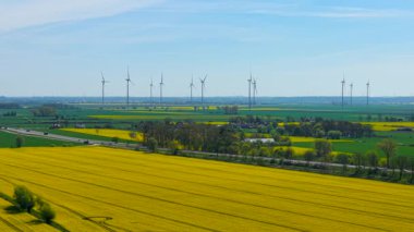 Kanola tarlası yol kenarında rüzgâr türbinlerinin oluşturduğu ufuk çizgisinde çiçek açıyor. Sarı kolza tohumu, parlak bahar gökyüzünün altında tarlalarda parlıyor. Arkasında yüksek enerji kuleleri ile kırsal alanda uzanan çiçek açan yağ tohumu hasatı. Kırsal kesimi kaplayan altın çiçekleri