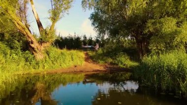 Deri masajı yaptıran bir adam, vücut akapunktur. Terapist, hava manzarasını rahatlatmak için oryantal spa prosedürü uyguluyor. Açık havada masaj. Doğada yeşil ağaçların altında profesyonel masaj