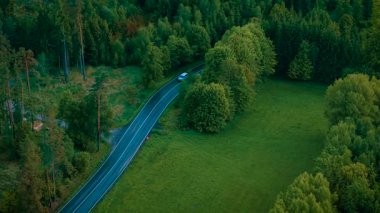 Minibüs yeşil ormanda dar bir yolda ilerliyor. Bulutlu havada, ıslak ve kıvrımlı yolda ilerleyen beyaz bir minivan. Ağaçlar ve otlaklarla çevrili asfalt yolda giden bir araç.