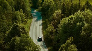 Araba orman eğrisi boyunca gidiyor. Sıcak ve güneşli bir günde kırmızı hatchback ağaçlı yolda gidiyor. Araç, huzurlu yeşil yolda ilerliyor.