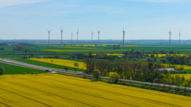 Rüzgâr türbinleriyle yol kenarında parlayan çiçek açan kanola tarlaları. Sarı kolza tohumu mavi gökyüzünün altında tarım arazisi boyunca uzanıyor. Çiçekli yağ tohumu ekinleri yol ve yenilenebilir enerji kulelerinin yakınında sergileniyor. Kırsal bölgeleri kaplayan altın çiçekleri