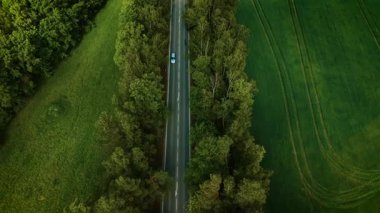 Dar orman yolu boyunca giden bir araç. Açık mavi sedan bulutlu gökyüzü manzarasının altında hareket ediyor. Araba tarlalar arasında ağaçların arasından geçiyor. Huzurlu kırsal yolda giden otomobil