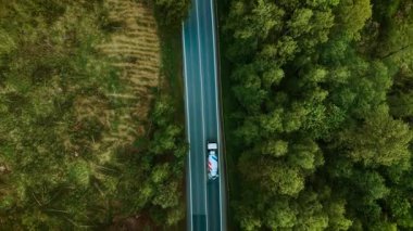 Kırsal orman yolu boyunca giden bir araç. Bulutlu hava manzarasının altında hareket eden beyaz çimento kamyonu. Ağaçlar ve açık alanlar arasında yolculuk yapan bir nakliye aracı. Sessiz kırsal yolda giden bir makine