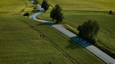 Gün batımında yeşil tarlalar arasında virajlı kırsal yolda giden bir makine. Açık mavi hatchback, güneşli ve kuru havada kır yolu boyunca seyahat ediyor. Altın akşam boyunca tarım arazilerinde hareket eden otomobiller