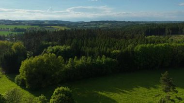 Yeşil çayır, güneşli mavi gökyüzünün altında sık ormanla buluşuyor. Hareketli ağaçlar yuvarlanan araziye yayılıyor. Çimenlerle çevrili yemyeşil bir orman.