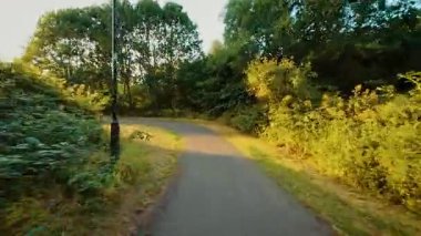 Keskin orman kıvrımları etrafında son derece hızlı dönüyorlar, POV. Tehlikeli virajlardan hızla geçmek dar bir yol, bakış açısı. Yoğun çalılar arasındaki patika boyunca hızla ilerliyoruz. Vahşi orman yolunda manevra yaparken adrenalin salgılanıyor.