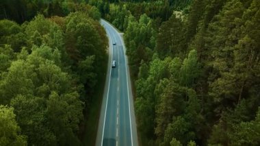 Orman otoyolunda giden arabalar. Kara SUV ve koyu renkli sedan bulutlu bir günde ağaçlarla kaplı yolda ilerliyorlar. Yoğun yeşil orman yolunda ilerleyen araçlar