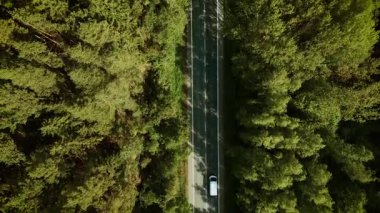 Orman yolu boyunca giden bir makine. Beyaz sedan, güneşli hava manzarasının altında hareket ediyor. Yoğun yeşil ormanlık alanda gezinen bir araba. Araç ağaçlar arasında sessiz otoyolda ilerliyor.