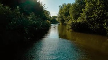 Bot POV 'tan sık ağaçlar arasında akan kanal. Su, tekne açısından yumuşak ışığı yansıtıyor. Dar su yolu yeşil arazide dönüyor. Sessiz İngiliz kanalı boyunca huzurlu bir yaz sahnesi