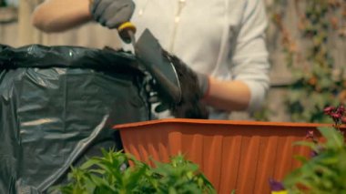 Kadın tarlaya malayla toprak döküyor. Çiçekli bahçıvanları desteklemek, dünya günü için büyüyen ve doğaya hizmet etmek, çiçek açan yardımcılara rehberlik etmek, ekolojik amaçlar için yeşil çabaları teşvik etmek. Dişi kürek kullanarak toprağı kabın içine yerleştiriyor